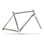 SPECIALIZED Crux DSW Gravel Frameset - Shadow Silver/California Sunshine