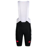 RAPHA EF Pro Team Bib Shorts III Regular - Multicolor