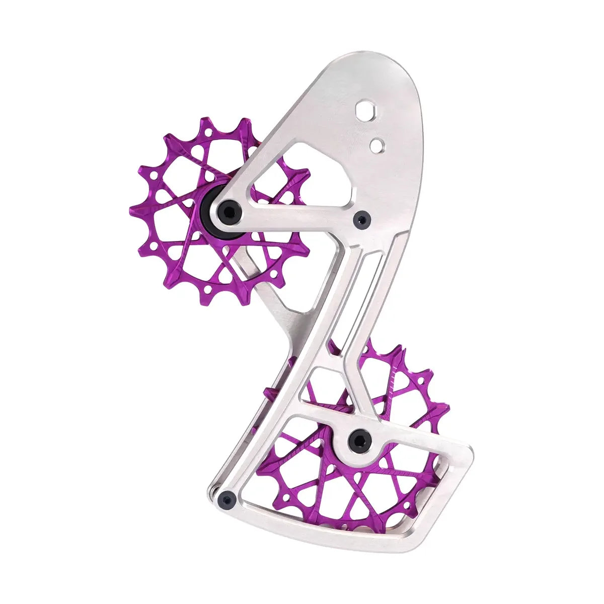 GARBARUK Derailleur Cage for SRAM XPLR 13-Speed - Silver