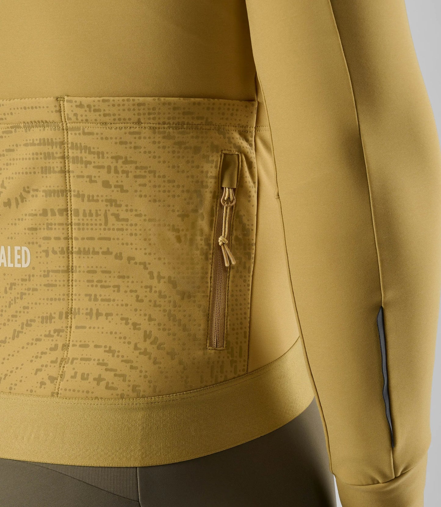 PEDALED Odyssey Long Sleeve Jersey - Light Green