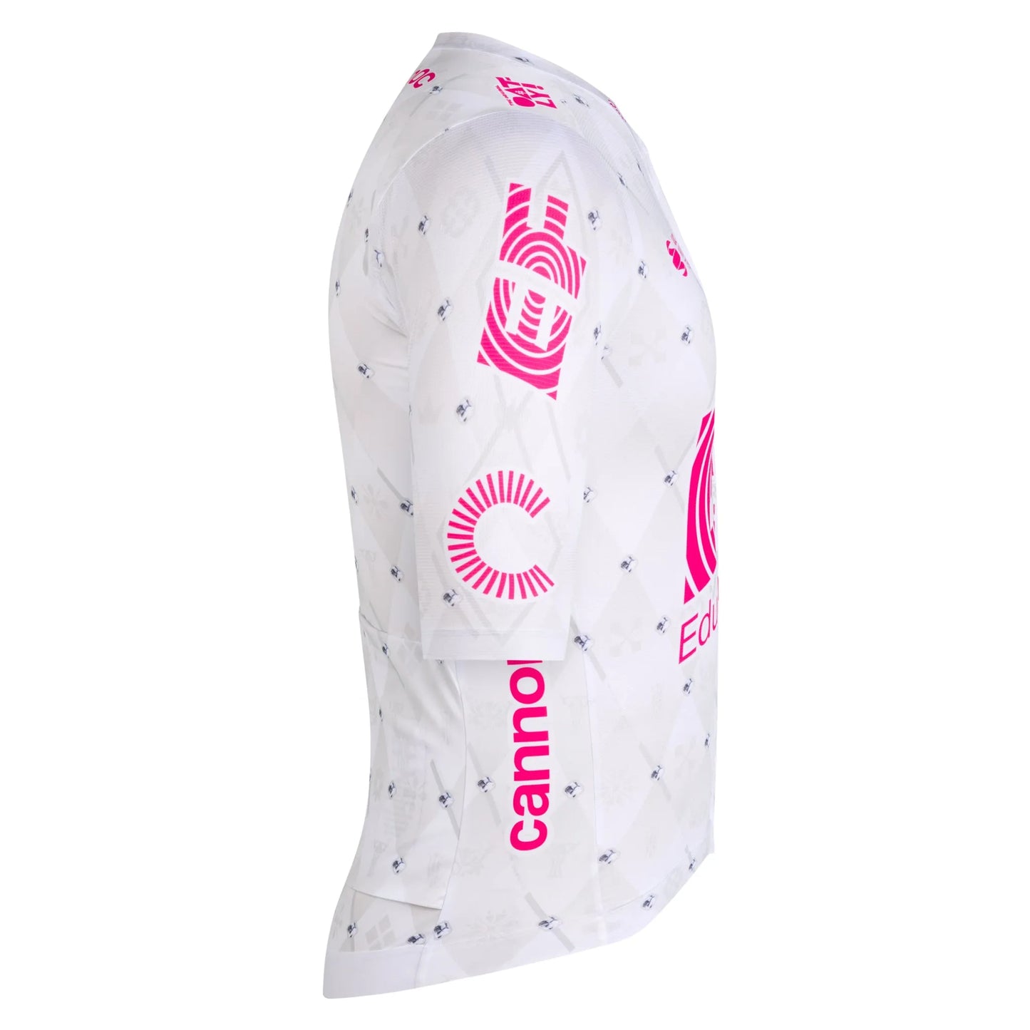 RAPHA EF Giro Pro Team Training Jersey - MUL Multicolour