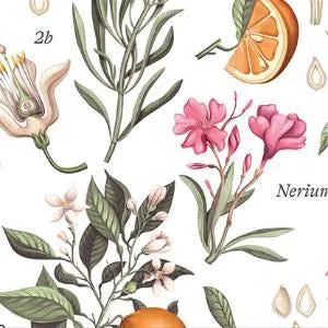 CAFE DU CYCLISTE Fleurette V2 Women's Jersey - Orange Blossom White-Women Jerseys-