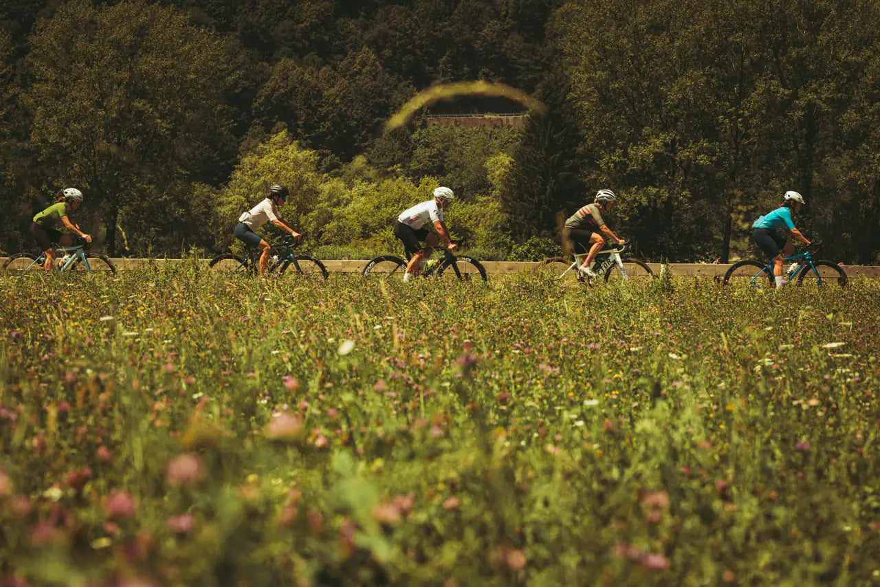 A line of riders through a flowered meadow