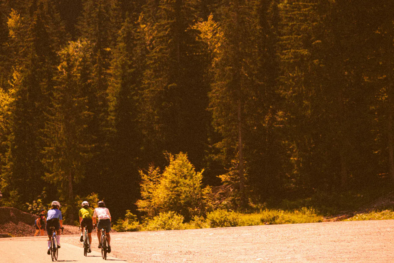 Three riders on a forest road in golden light