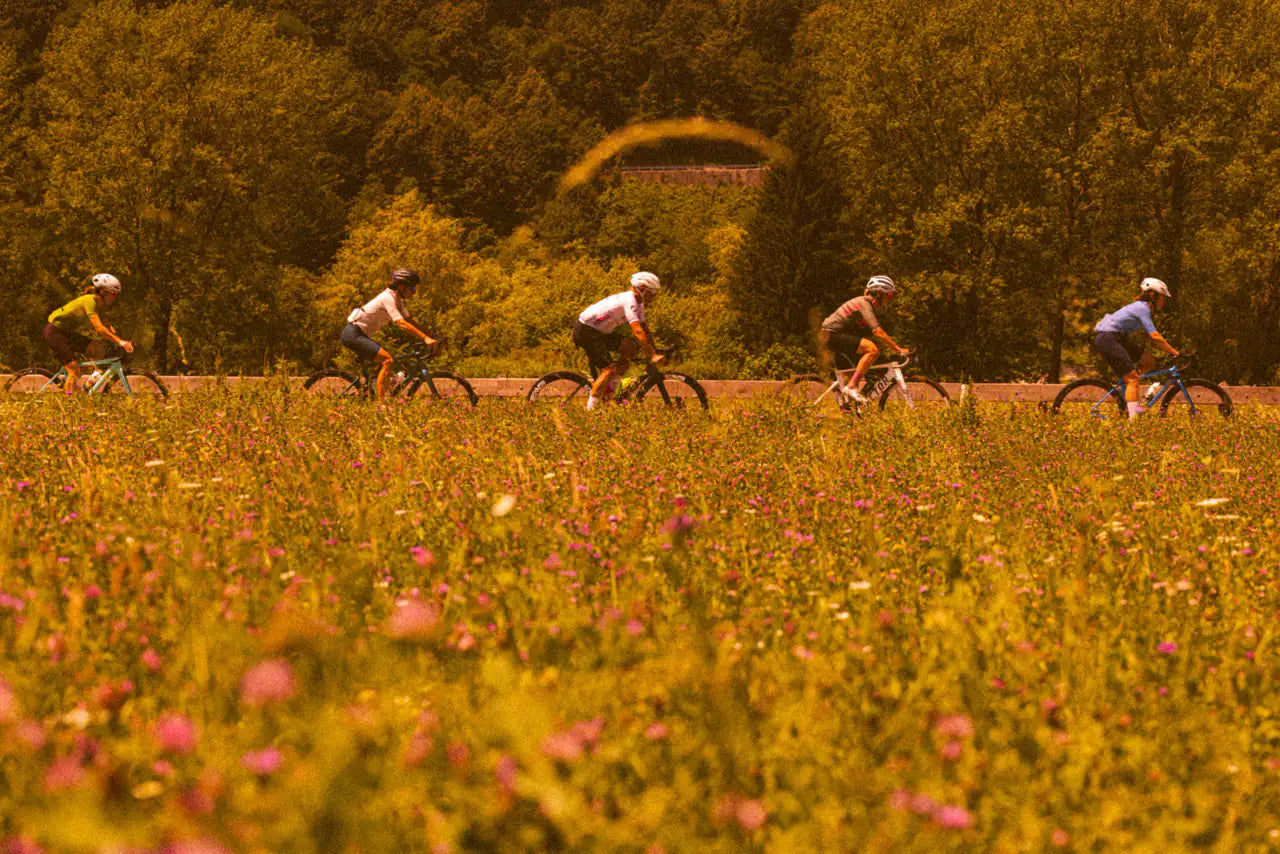 The group passing a wildflower meadow