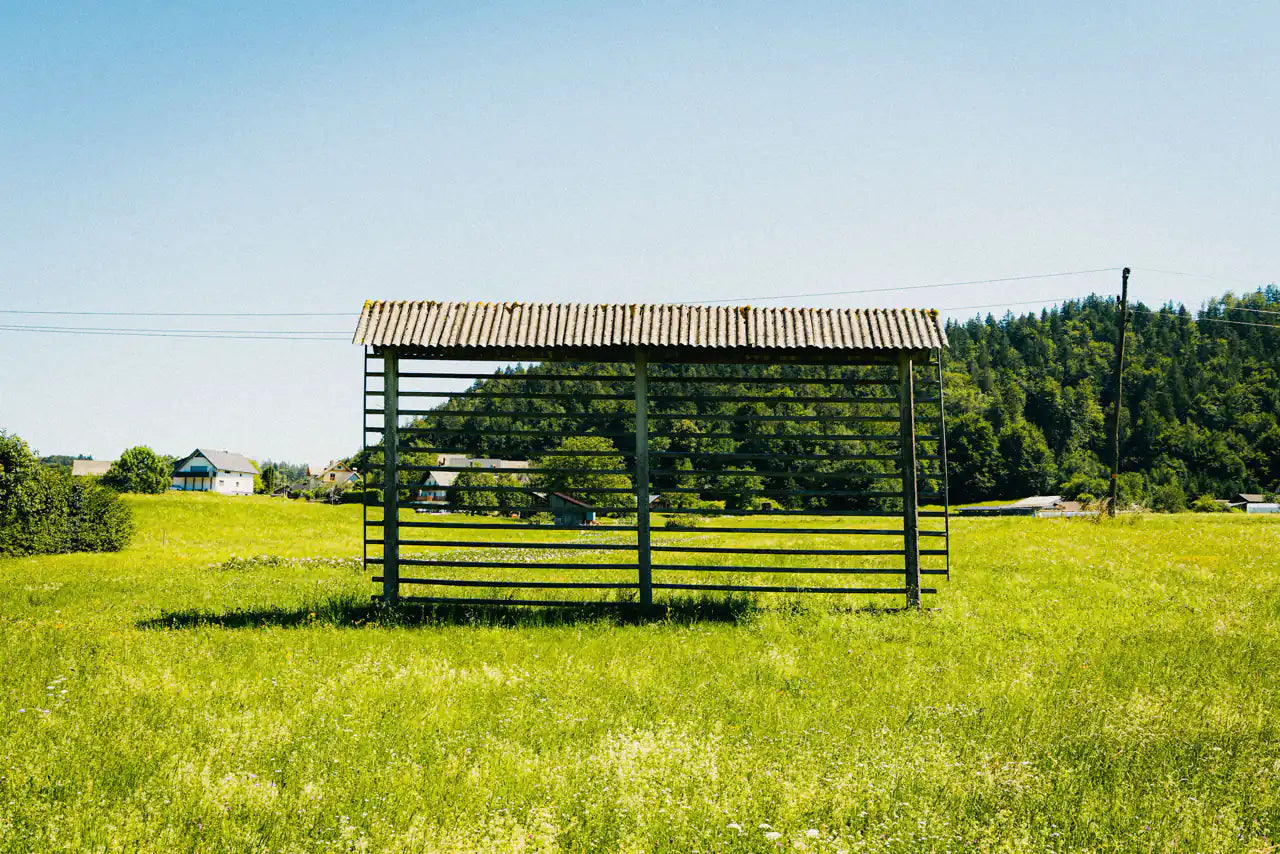A kozolec hayrack in a green meadow