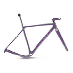 ALLIED ABLE Carbon Gravel Frameset - Harlequin Purple to Green