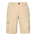 OAKLEY B1B Cargo Hybrid Short - Pebble