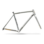 SPECIALIZED Crux DSW Frameset - D'Aluisio Smartweld Alloy - Shadow Silver/California Sunshine