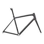 SPECIALIZED Sworks Aethos 2 Frameset  2026  - RTP RAW CARBON / PREMIUM FJORD METALLIC