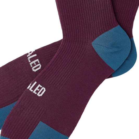 PEDALED Yama Trail Socks - Purple