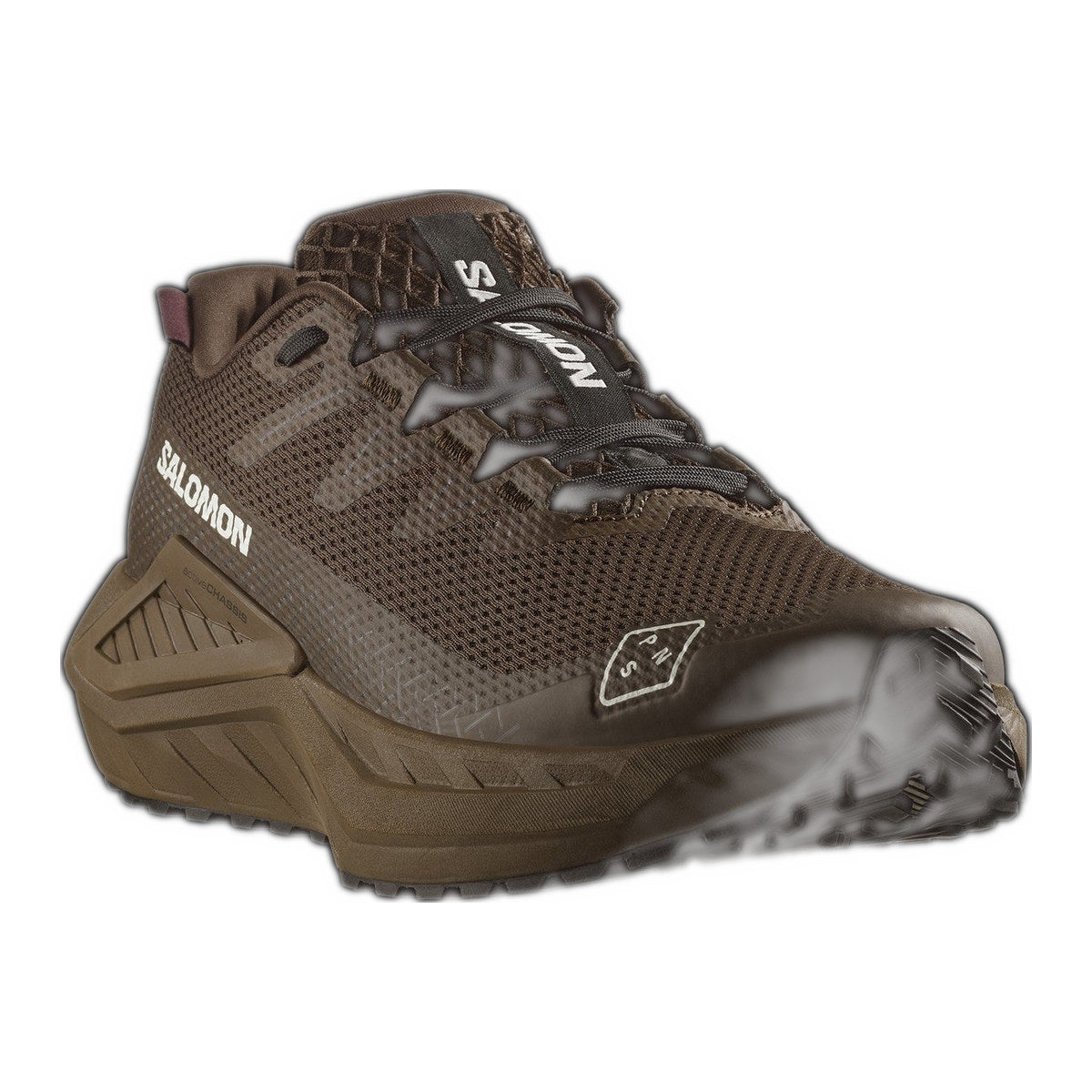 PAS NORMAL STUDIOS Salomon DRX Defy GRVL - Earth