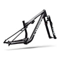 SPECIALIZED SWorks Epic 9 Frameset - Satin Carbon