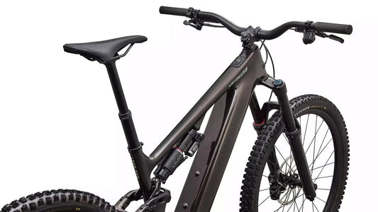SPECIALIZED Levo 4 EVO Comp - Gloss Warm Smoke / Pistachio