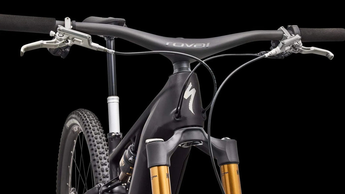 S-Works Turbo Levo R Ultra Light - Carb/Silhlg