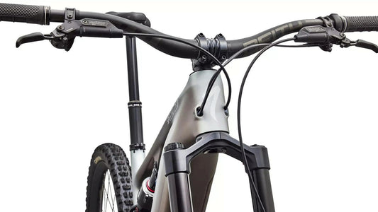 SPECIALIZED Levo 4 EVO Pro - Satin Shadow / Silver Dust