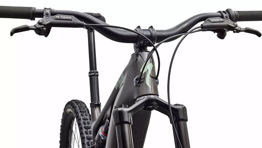 SPECIALIZED Levo 4 EVO Comp - Gloss Warm Smoke / Pistachio