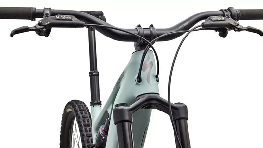 SPECIALIZED Levo 4 EVO Comp - Satin Agave Grey / Desert Metallic