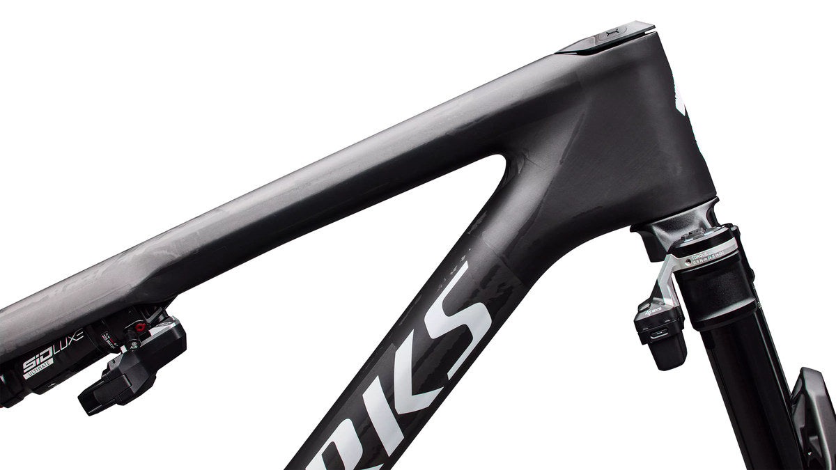 SPECIALIZED SWorks Epic 9 Frameset - Satin Carbon