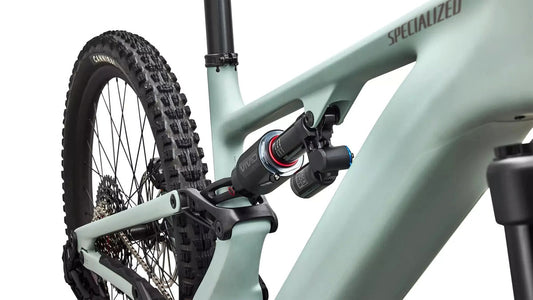 SPECIALIZED Levo 4 EVO Comp - Satin Agave Grey / Desert Metallic