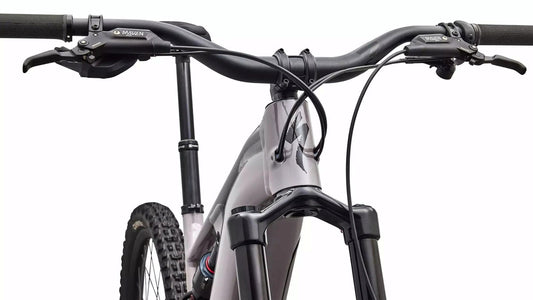 SPECIALIZED Levo 4 EVO Comp Alloy - Gloss Desert Metallic / Metallic Obsidian