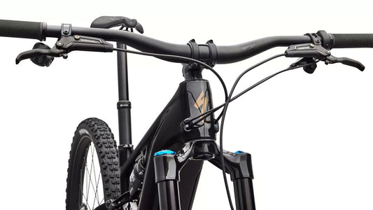 SPECIALIZED Turbo Levo R Expert - Gloss Carbon / Burnt Gold Metallic