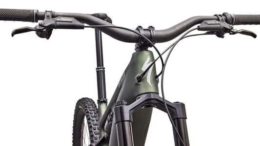 SPECIALIZED TURBO LEVO 4 PRO MTB EBIKE- BTLGRN/BLKPRL/SILDST