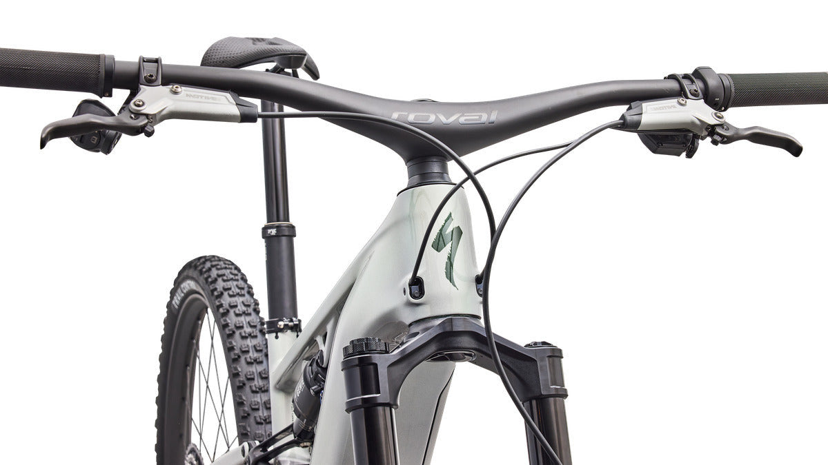 SPECIALIZED SWORKS TURBO LEVO R MTB EBIKE - DLM MET/CMLN SIL GRN/OAK GRN MET