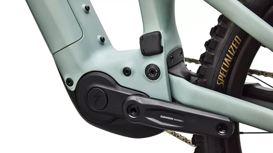 SPECIALIZED Levo 4 EVO Comp - Satin Agave Grey / Desert Metallic