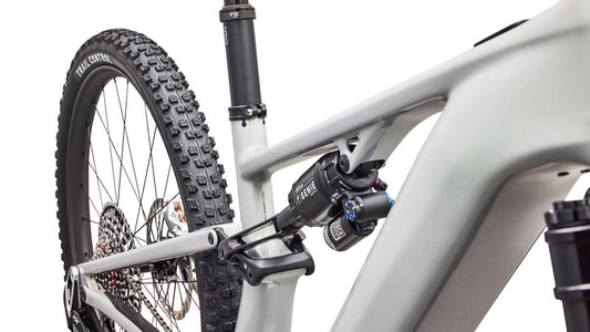 SPECIALIZED SWORKS TURBO LEVO R MTB EBIKE - DLM MET/CMLN SIL GRN/OAK GRN MET