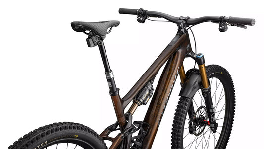 SPECIALIZED SWorks Turbo Levo SL 2 Carbon  - Brown Tint