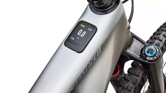 SPECIALIZED Levo 4 EVO Pro - Satin Shadow / Silver Dust