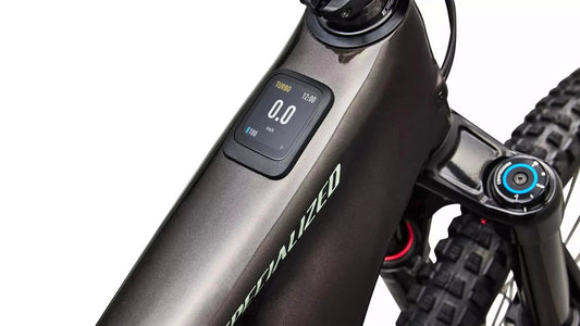 SPECIALIZED Levo 4 EVO Comp - Gloss Warm Smoke / Pistachio