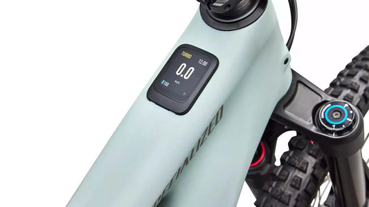 SPECIALIZED Levo 4 EVO Comp - Satin Agave Grey / Desert Metallic