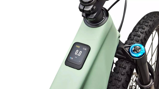 SPECIALIZED Turbo Levo R Expert - Satin Pistachio / Dark Moss Green