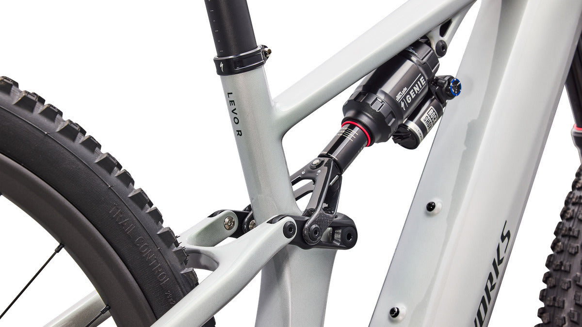 SPECIALIZED SWORKS TURBO LEVO R MTB EBIKE - DLM MET/CMLN SIL GRN/OAK GRN MET