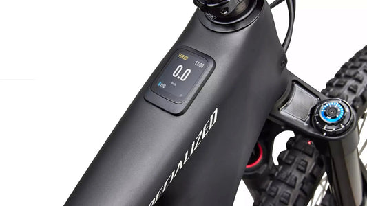 SPECIALIZED Levo 4 EVO Pro - Satin Carbon / Dolomite