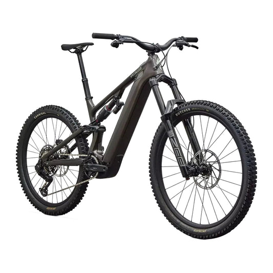 SPECIALIZED Levo 4 EVO Comp - Gloss Warm Smoke / Pistachio