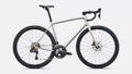 SPECIALIZED AETHOS 2 EXPERT - DOLOMITE METALLIC/SHADOW SILVER
