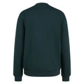 RAPHA HEAVYWEIGHT COTTON Dessuadora - FOREST GREEN/LIGHT QUARTZ