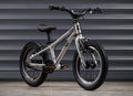 EARLY RIDER Belter 14 Kids Bike - Brushed Aluminium