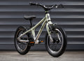 EARLY RIDER Belter 14 Kids Bike - Sage Green/Brushed
