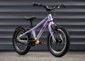 EARLY RIDER Belter 14 Kids Bike - Violet Haze/Brushed