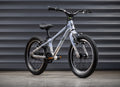 EARLY RIDER Belter 16 Kids Bike - Arctic Blue/Brushed