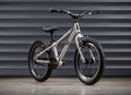 EARLY RIDER Belter 16 Kids Bike - Brushed Aluminium