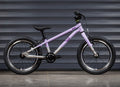 EARLY RIDER Belter 16 Kids Bike - Violet Haze/Brushed