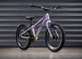 EARLY RIDER Belter 16 Kids Bike - Violet Haze/Brushed