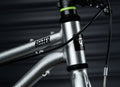 EARLY RIDER Belter 20 Auto Kids Bike - Brushed Aluminium