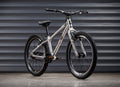 EARLY RIDER Belter 20 Auto Kids Bike - Brushed Aluminium