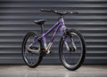 EARLY RIDER Belter 20 Auto Kids Bike - Electric Purple/Brushed